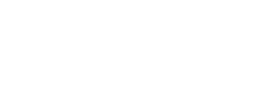 ROY REBEL