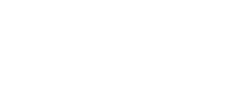 SAGGINI COSTRUZIONI