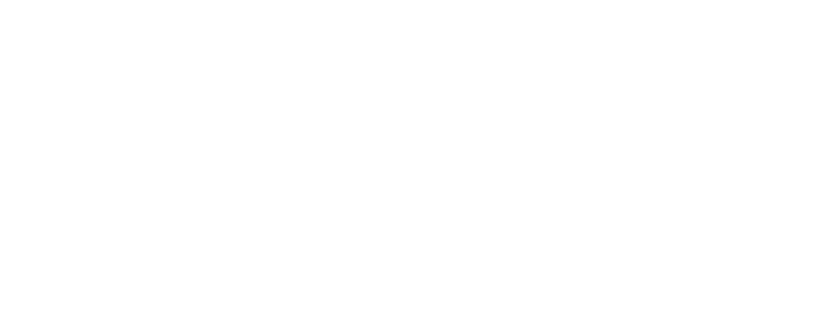 Spazio Aste