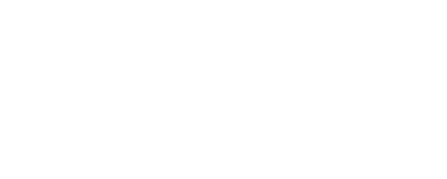 SY CAPITAL